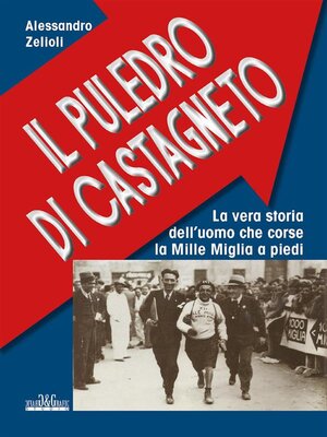 cover image of Il Puledro di Castagneto